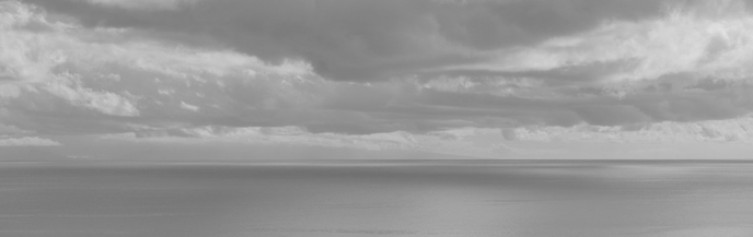 Baner wystawa Nel Lato