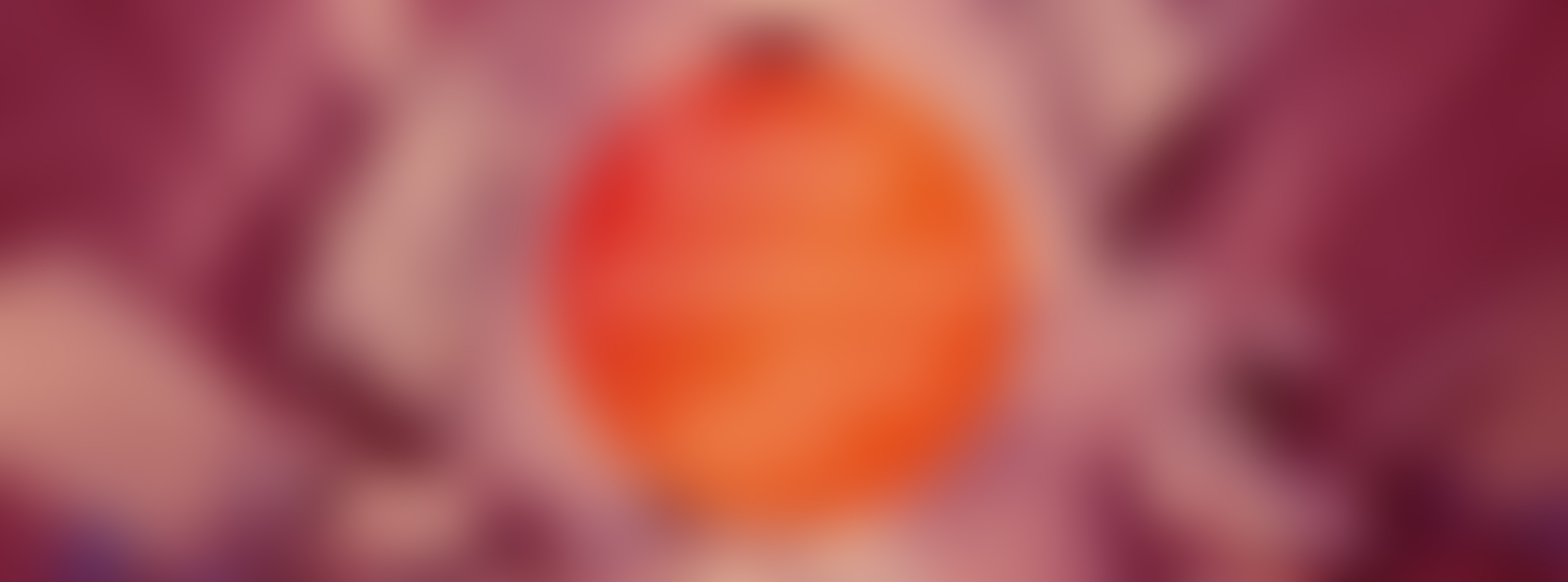 Baner promujący wydarzenie Foto Publikacja 2020/2021