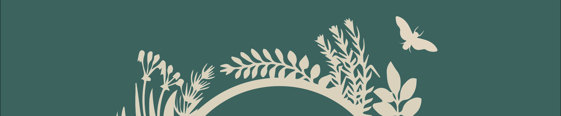 Baner graficzny Dom Ekologii SDK