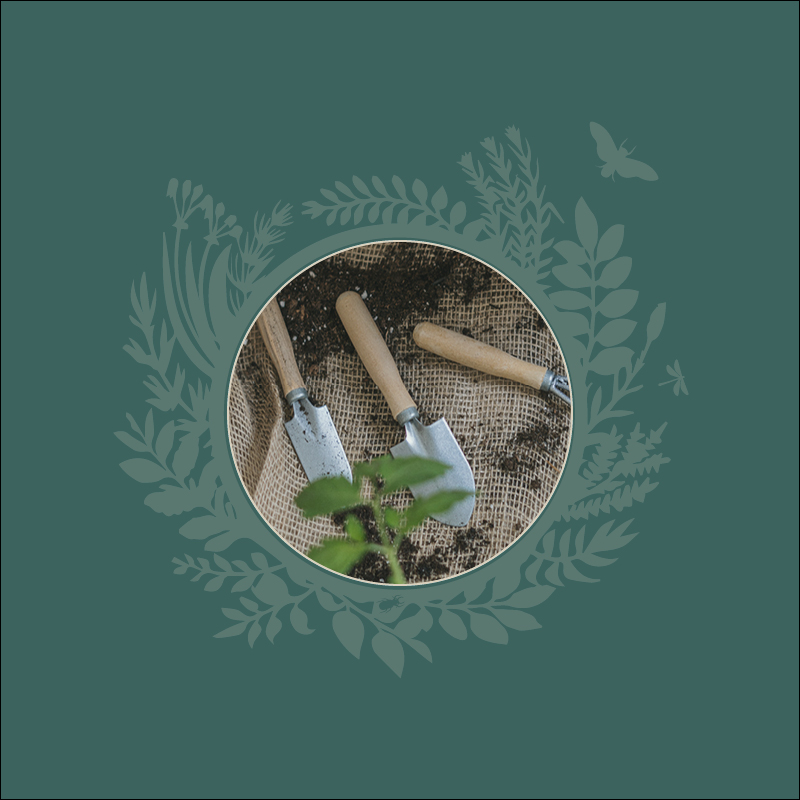 Baner promujący Wspólny Ogród w SDK