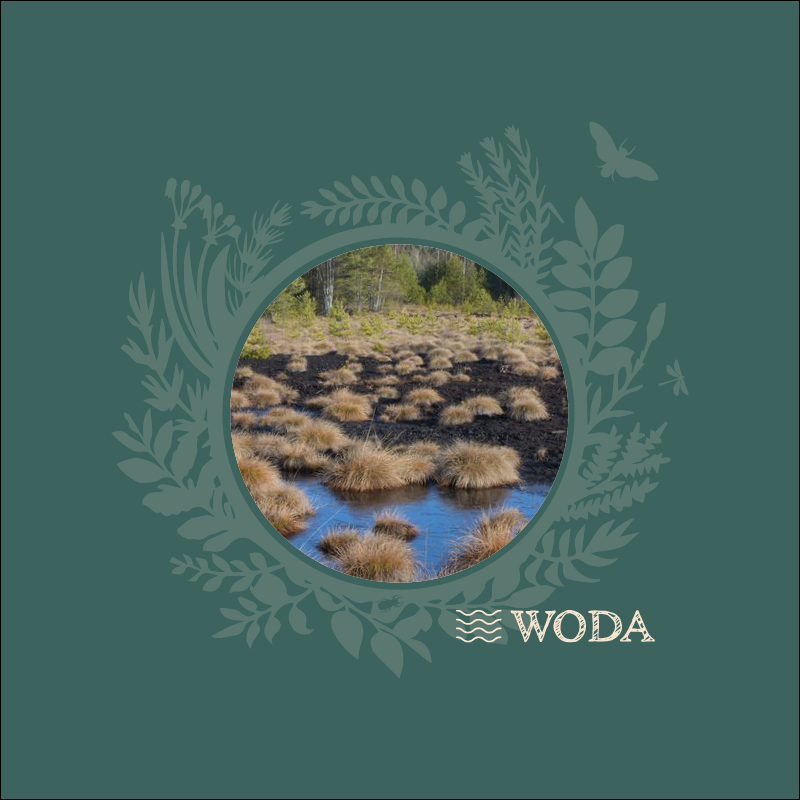 Graficzny baner promujący wystwę “Chrońmy mokradła” - Wystawa online Centrum Ochrony Mokradeł