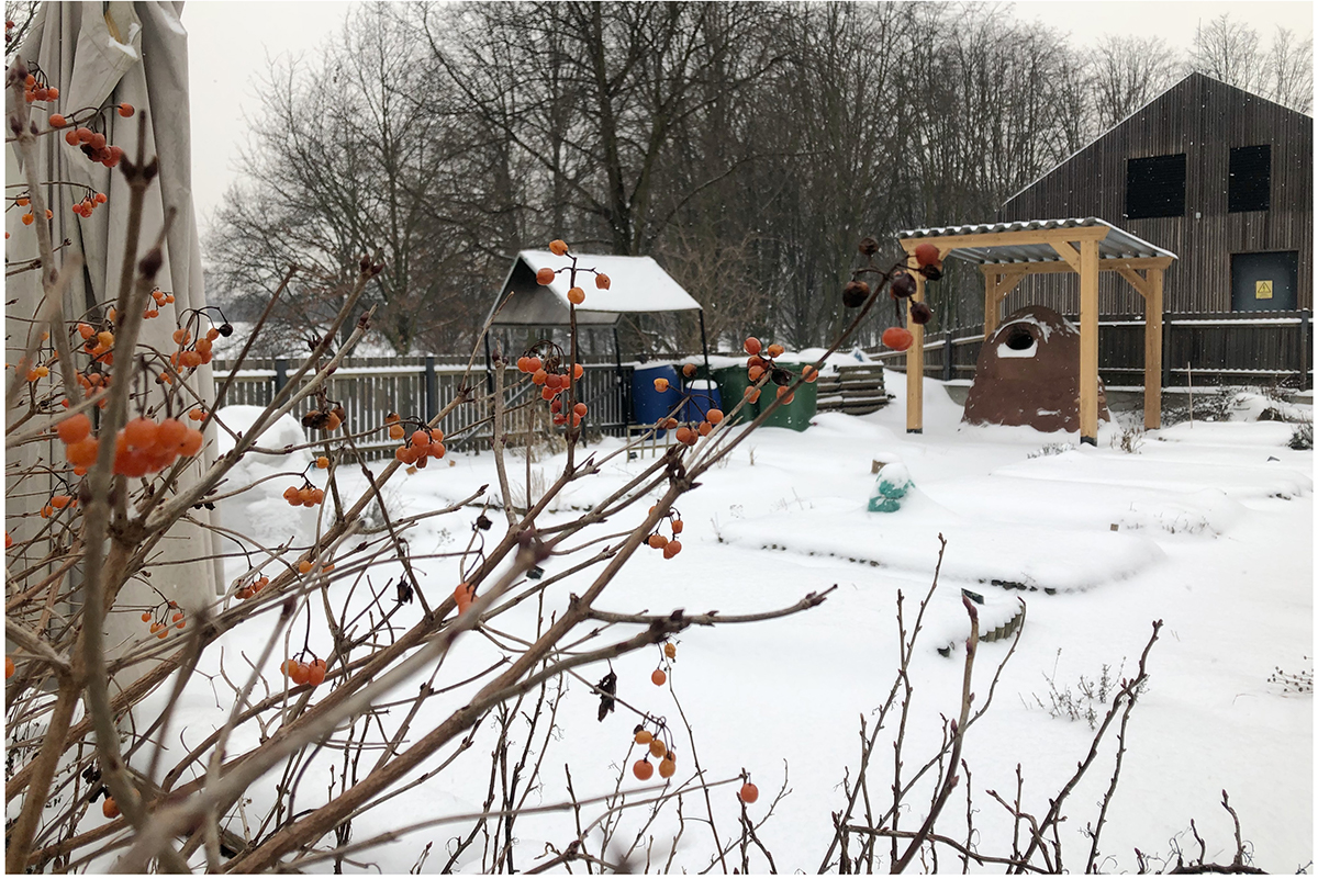 Zdjęcie przedstawia Wspólny Ogród SDK w zimowej aurze.