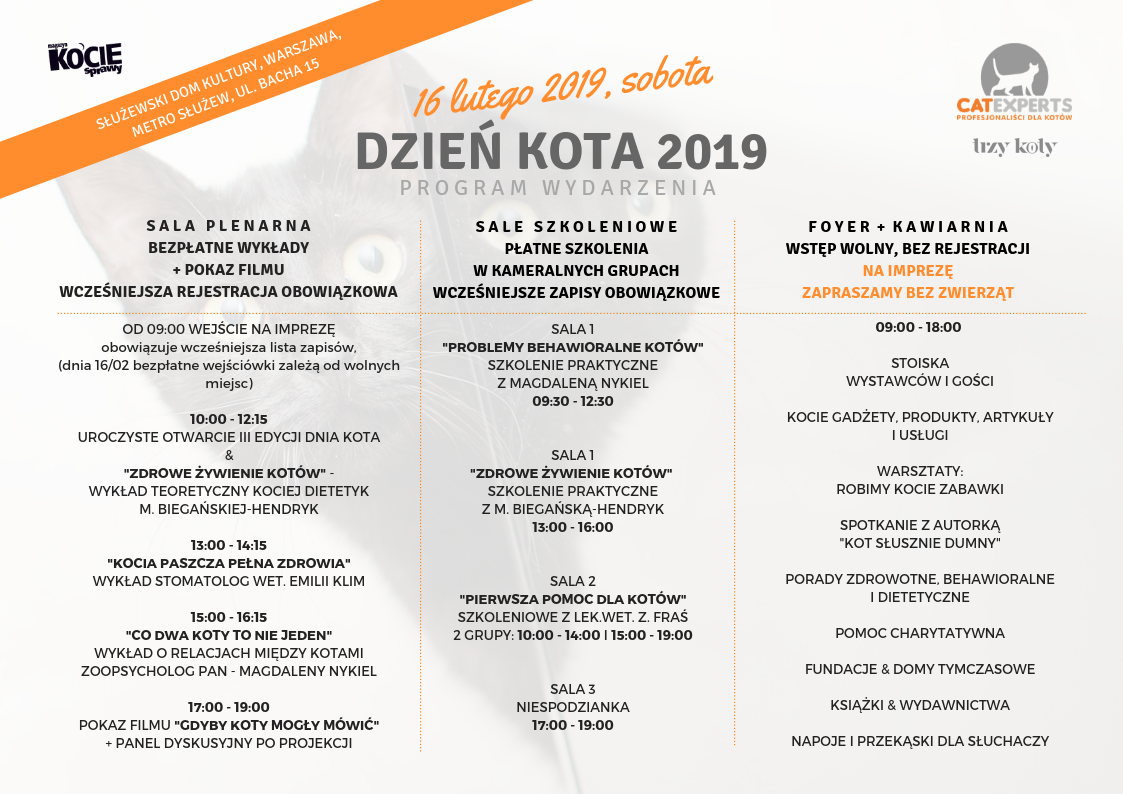 50887170 2194116383971965 6980637468907274240 o