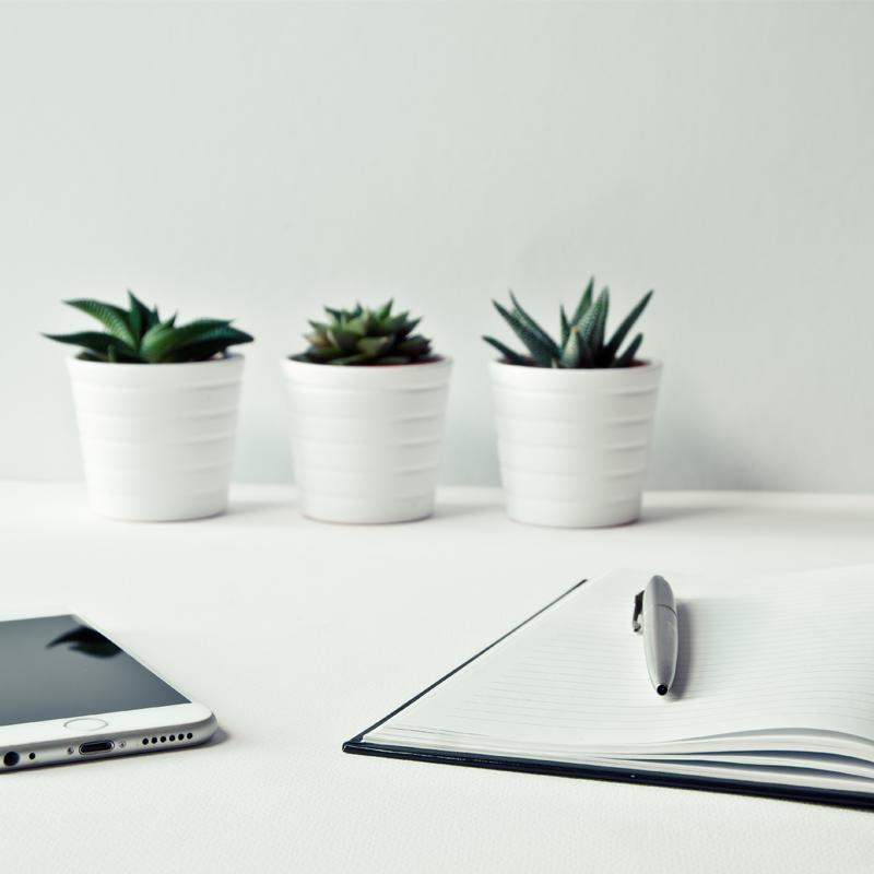 Na zdjęciu blat białego biurka. Na nim leżący telefon oraz zeszyt. W tle widoczne rośliny doniczkowe.