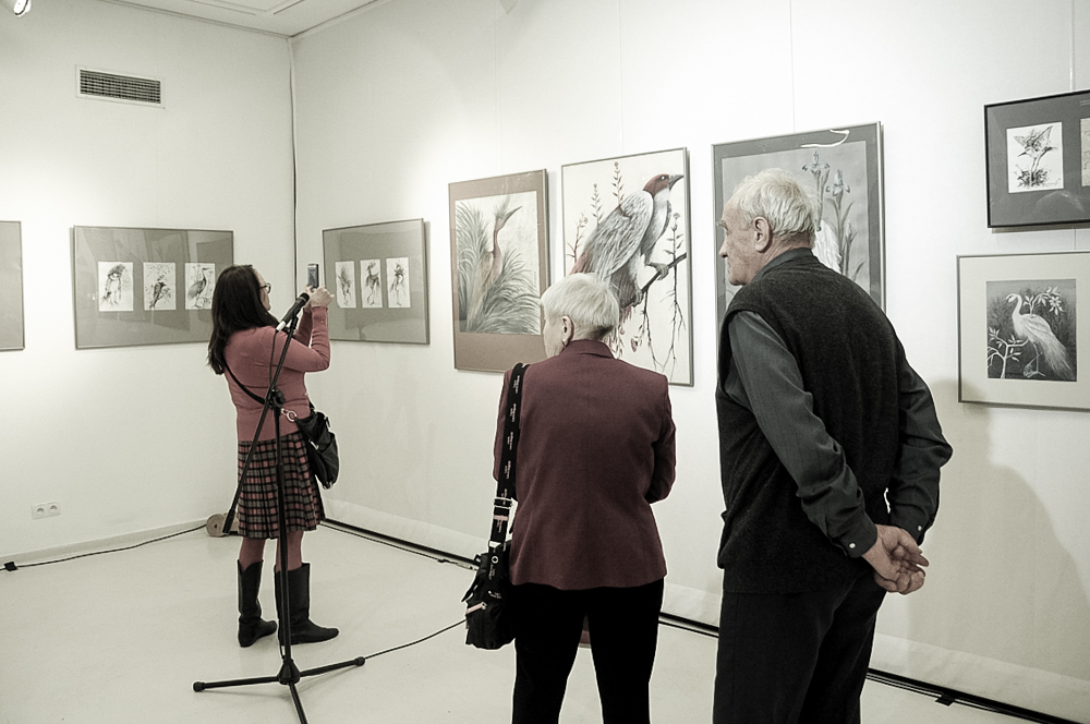 dziwoptaki wernisaz 4 of 10