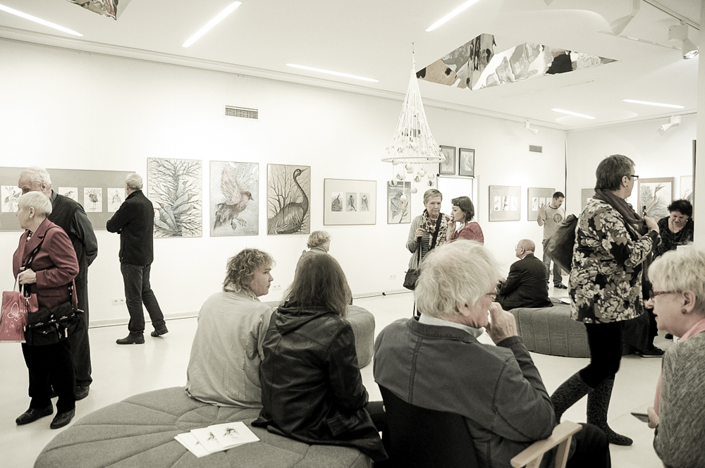 dziwoptaki wernisaz 5 of 10