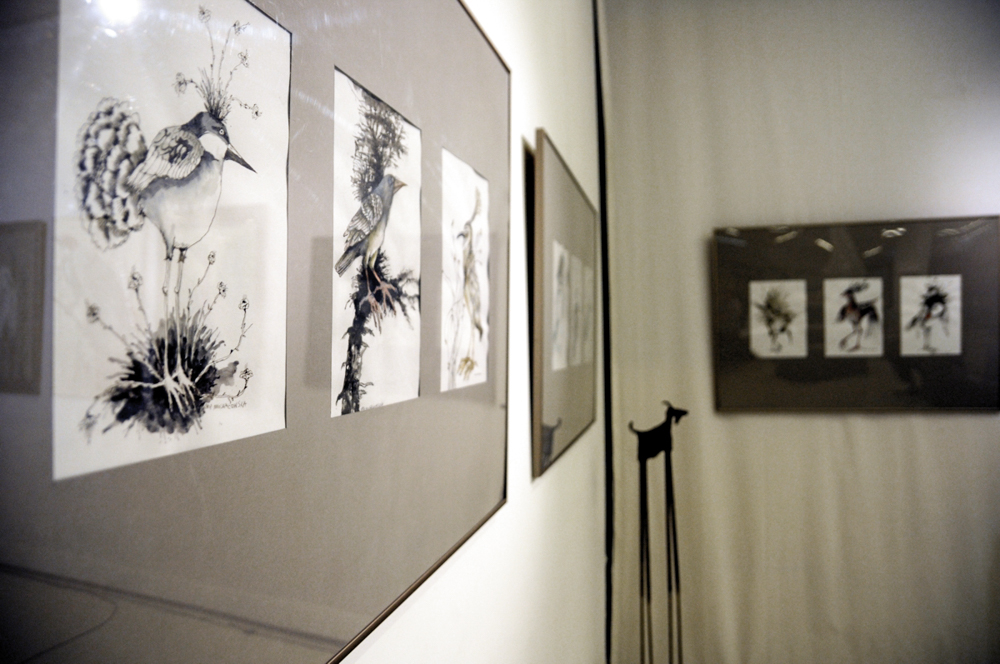 dziwoptaki wernisaz 1 of 1