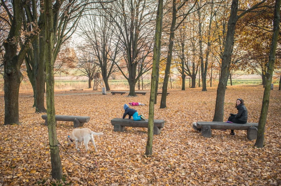 Park przy Służewskim Domu Kultury. Listopad 2015. fot.sdk