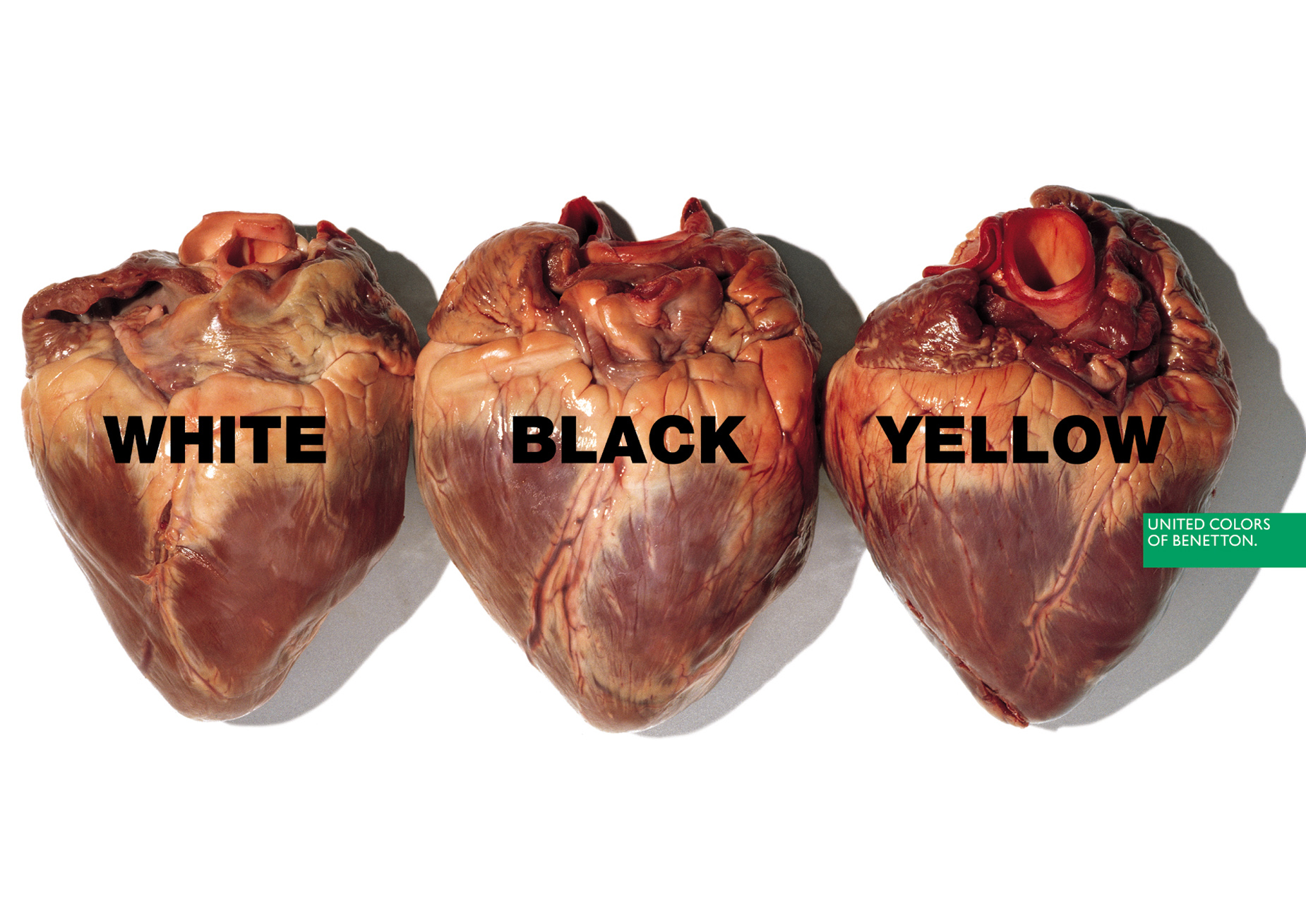 Oliviero Toscani 2578
