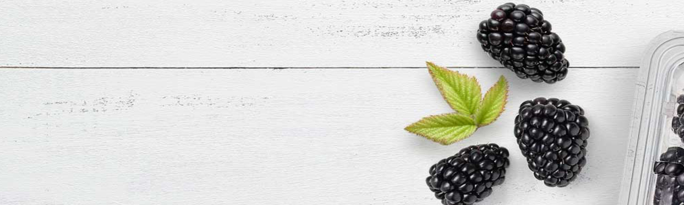 Na grafice opakowanie jerzyn, rozsypujących się po szarej powierzchni drewnianej, na etykiecie opakowania widnieje napis Dieta. Warsztaty kulinarne dla seniorek i seniorów.