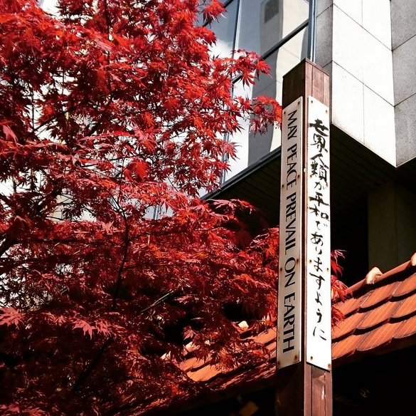 SP przy MuzeumAzj iPacyfiku