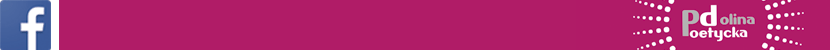 PD2017 naglowek FB