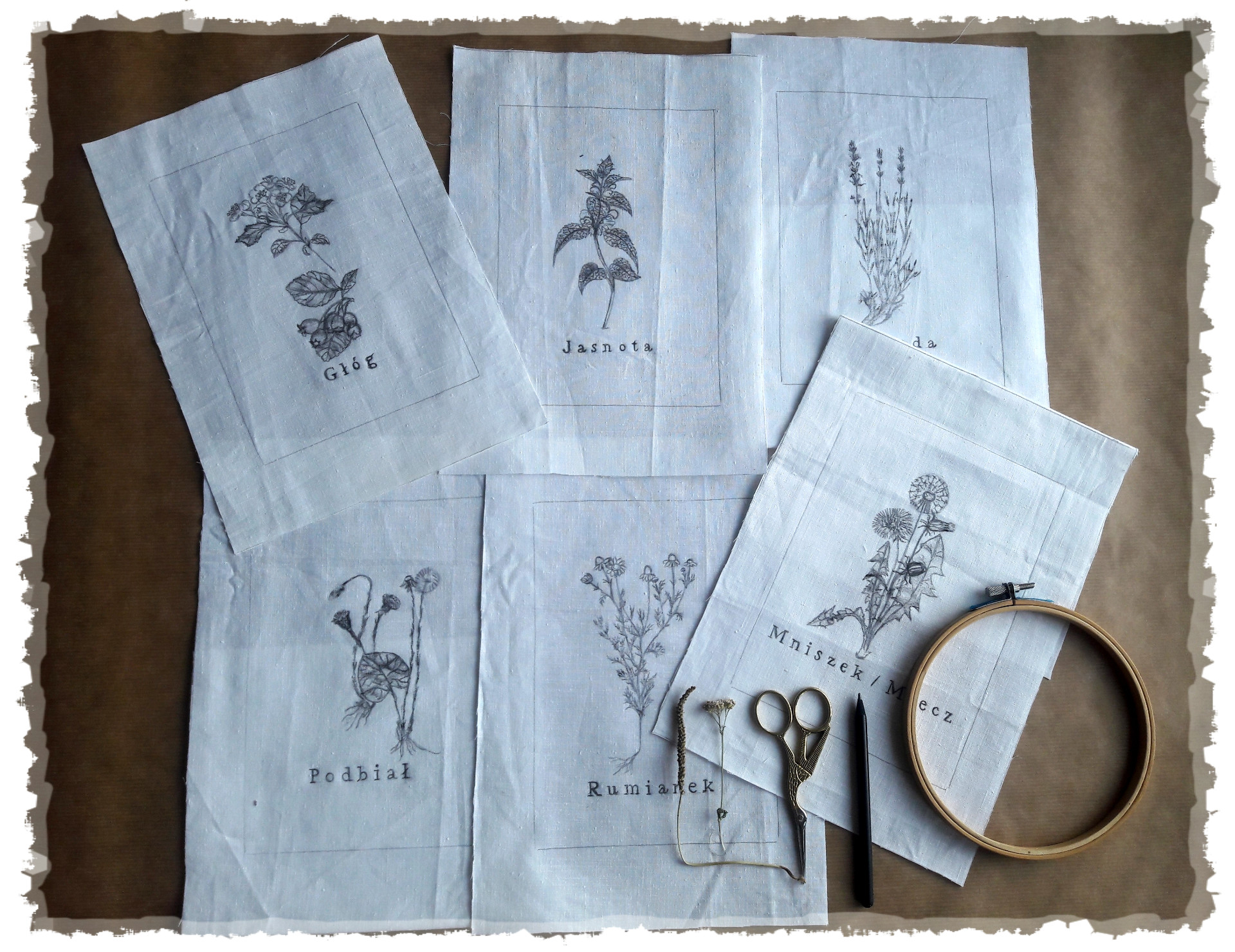 Zdjęcie promocyjne pracowni.  Na zdjęciu szkice roślin na płótnach przygotowane do haftowania.