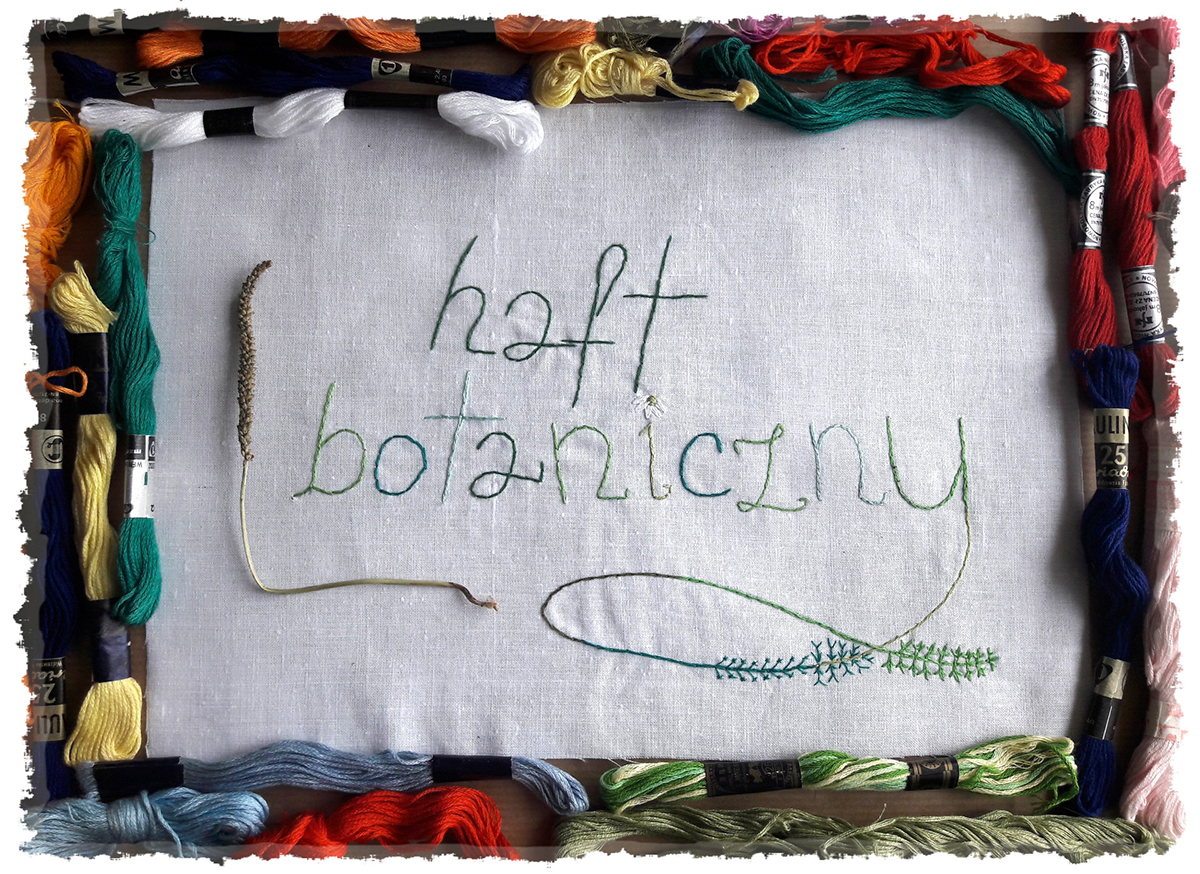 Zdjęcie promocyjne pracowni.  Na zdjęciu płótno z wyhaftowanym napisem haft botaniczny oraz kolorowa mulina rozłożona dookoła płótna.