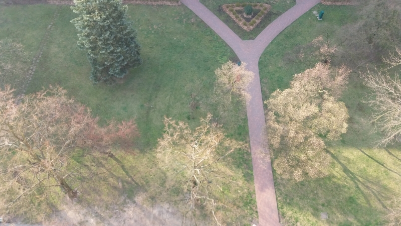 Seria zdjęć przedstawia ten sam plener widziany z ptasiej perspektywy (od góry) w następujących po sobie dniach. Z każdym zdjęciem widać zmianę barw w kierunku ciepłej zieleni i ciepłej żółci, zwiastującej nową porę roku - wiosnę.