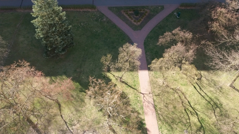 Seria zdjęć przedstawia ten sam plener widziany z ptasiej perspektywy (od góry) w następujących po sobie dniach. Z każdym zdjęciem widać zmianę barw w kierunku ciepłej zieleni i ciepłej żółci, zwiastującej nową porę roku - wiosnę.