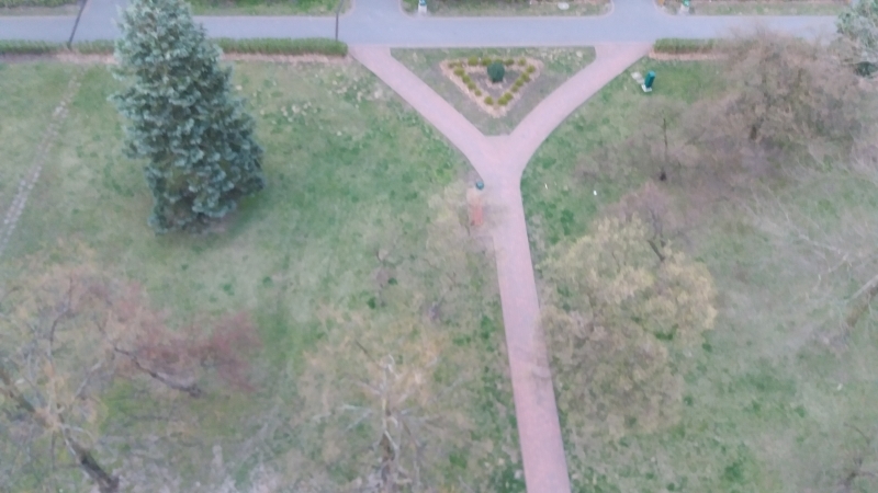 Seria zdjęć przedstawia ten sam plener widziany z ptasiej perspektywy (od góry) w następujących po sobie dniach. Z każdym zdjęciem widać zmianę barw w kierunku ciepłej zieleni i ciepłej żółci, zwiastującej nową porę roku - wiosnę.