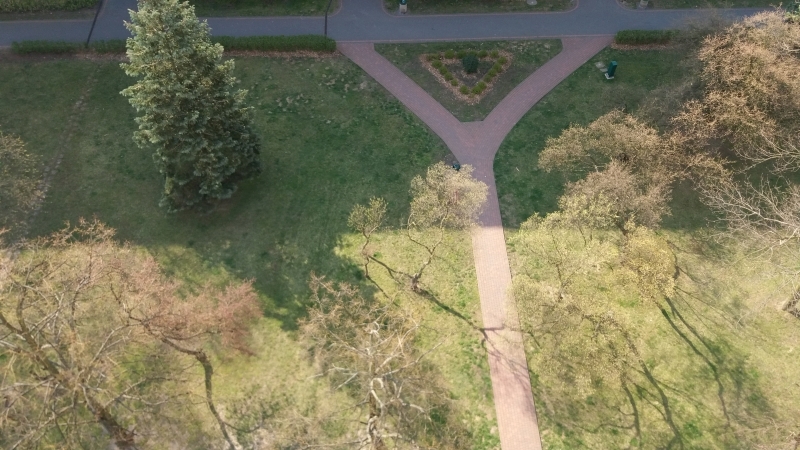 Seria zdjęć przedstawia ten sam plener widziany z ptasiej perspektywy (od góry) w następujących po sobie dniach. Z każdym zdjęciem widać zmianę barw w kierunku ciepłej zieleni i ciepłej żółci, zwiastującej nową porę roku - wiosnę.