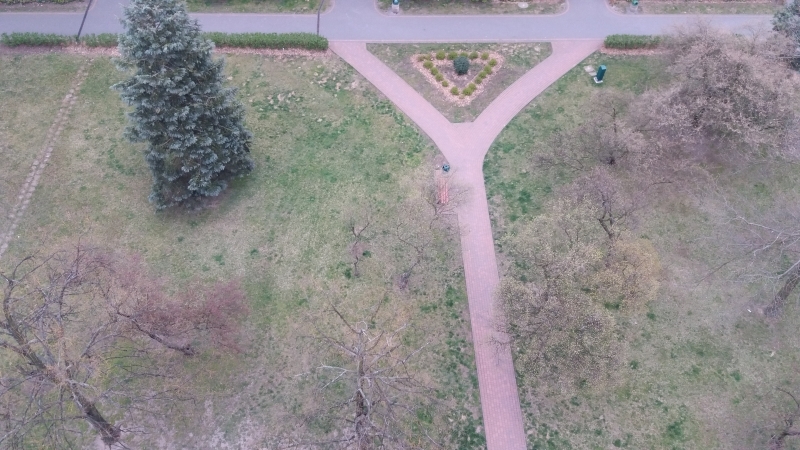 Seria zdjęć przedstawia ten sam plener widziany z ptasiej perspektywy (od góry) w następujących po sobie dniach. Z każdym zdjęciem widać zmianę barw w kierunku ciepłej zieleni i ciepłej żółci, zwiastującej nową porę roku - wiosnę.