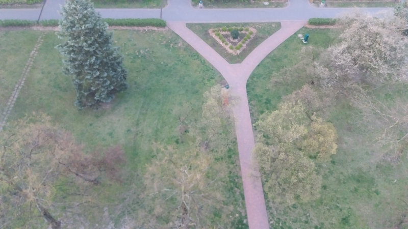 Seria zdjęć przedstawia ten sam plener widziany z ptasiej perspektywy (od góry) w następujących po sobie dniach. Z każdym zdjęciem widać zmianę barw w kierunku ciepłej zieleni i ciepłej żółci, zwiastującej nową porę roku - wiosnę.