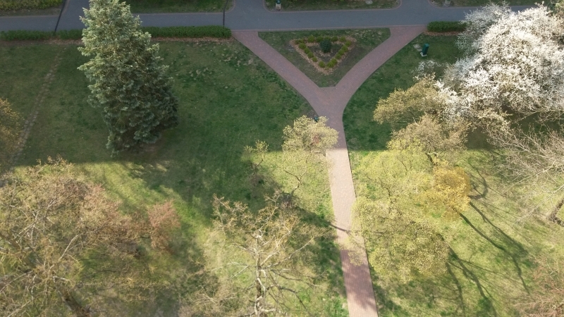 Seria zdjęć przedstawia ten sam plener widziany z ptasiej perspektywy (od góry) w następujących po sobie dniach. Z każdym zdjęciem widać zmianę barw w kierunku ciepłej zieleni i ciepłej żółci, zwiastującej nową porę roku - wiosnę.