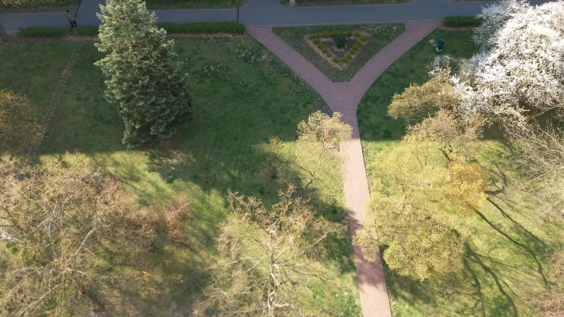 Seria zdjęć przedstawia ten sam plener widziany z ptasiej perspektywy (od góry) w następujących po sobie dniach. Z każdym zdjęciem widać zmianę barw w kierunku ciepłej zieleni i ciepłej żółci, zwiastującej nową porę roku - wiosnę.