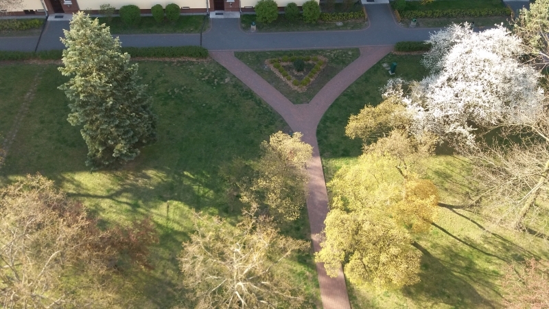 Seria zdjęć przedstawia ten sam plener widziany z ptasiej perspektywy (od góry) w następujących po sobie dniach. Z każdym zdjęciem widać zmianę barw w kierunku ciepłej zieleni i ciepłej żółci, zwiastującej nową porę roku - wiosnę.