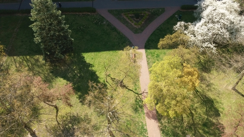 Seria zdjęć przedstawia ten sam plener widziany z ptasiej perspektywy (od góry) w następujących po sobie dniach. Z każdym zdjęciem widać zmianę barw w kierunku ciepłej zieleni i ciepłej żółci, zwiastującej nową porę roku - wiosnę.