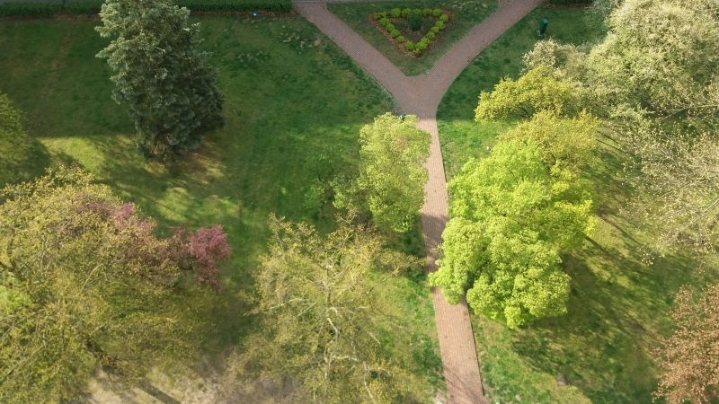 Seria zdjęć przedstawia ten sam plener widziany z ptasiej perspektywy (od góry) w następujących po sobie dniach. Z każdym zdjęciem widać zmianę barw w kierunku ciepłej zieleni i ciepłej żółci, zwiastującej nową porę roku - wiosnę.