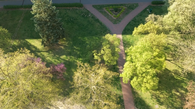 Seria zdjęć przedstawia ten sam plener widziany z ptasiej perspektywy (od góry) w następujących po sobie dniach. Z każdym zdjęciem widać zmianę barw w kierunku ciepłej zieleni i ciepłej żółci, zwiastującej nową porę roku - wiosnę.