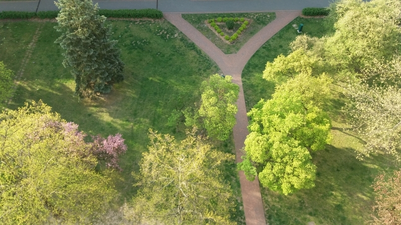 Seria zdjęć przedstawia ten sam plener widziany z ptasiej perspektywy (od góry) w następujących po sobie dniach. Z każdym zdjęciem widać zmianę barw w kierunku ciepłej zieleni i ciepłej żółci, zwiastującej nową porę roku - wiosnę.