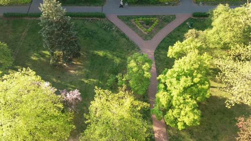 Seria zdjęć przedstawia ten sam plener widziany z ptasiej perspektywy (od góry) w następujących po sobie dniach. Z każdym zdjęciem widać zmianę barw w kierunku ciepłej zieleni i ciepłej żółci, zwiastującej nową porę roku - wiosnę.