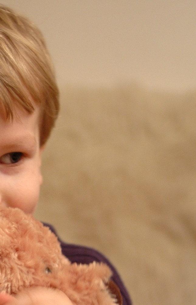 Zdjęcie ukazujące fragment twarzy dziecka trzymającego pluszaka. kilkuletni Chłopiec ma kilka lat, blond włosy i nieśmiało patrzy w kąt zdjęcia. W tle rozmytr odcienie. Foto: Joanna Kinowska