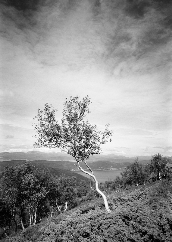 fotografia analogowa