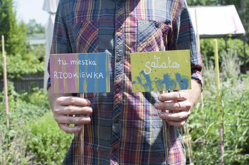 Zbliżenie na ręcznie malowane tabliczki opisujące rosnące warzywa i zioła. W tle ogród społecznościowy