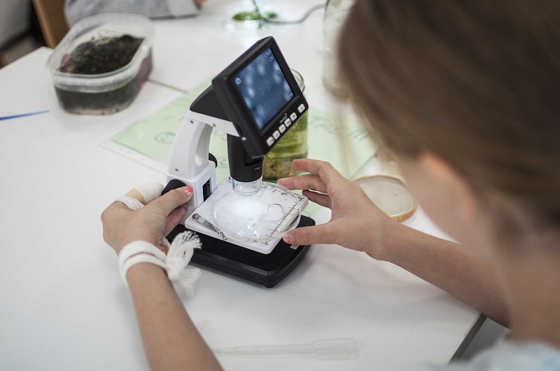 Uczestniczka warsztatu podczas pracy z mikroskopem podczas warsztatów przyrodniczych.