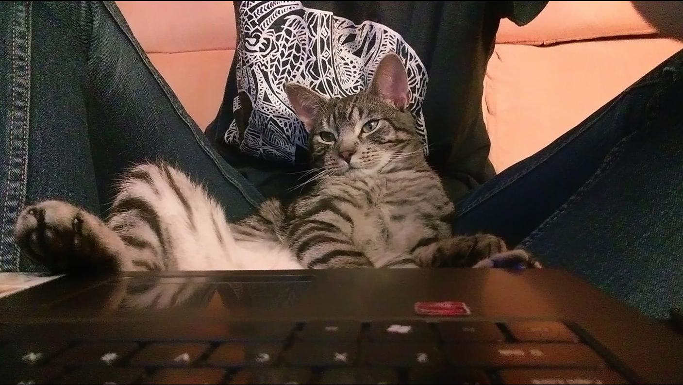 III msc Justyna Jaroszewicz