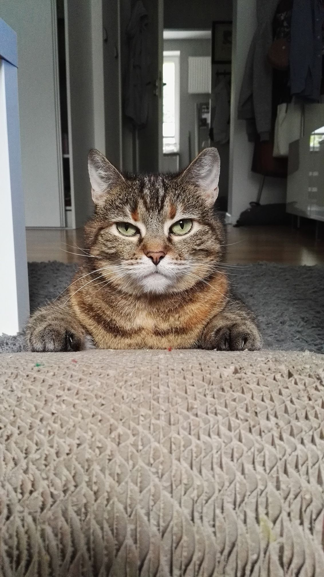 I msc 20180202 ewa Wesoła