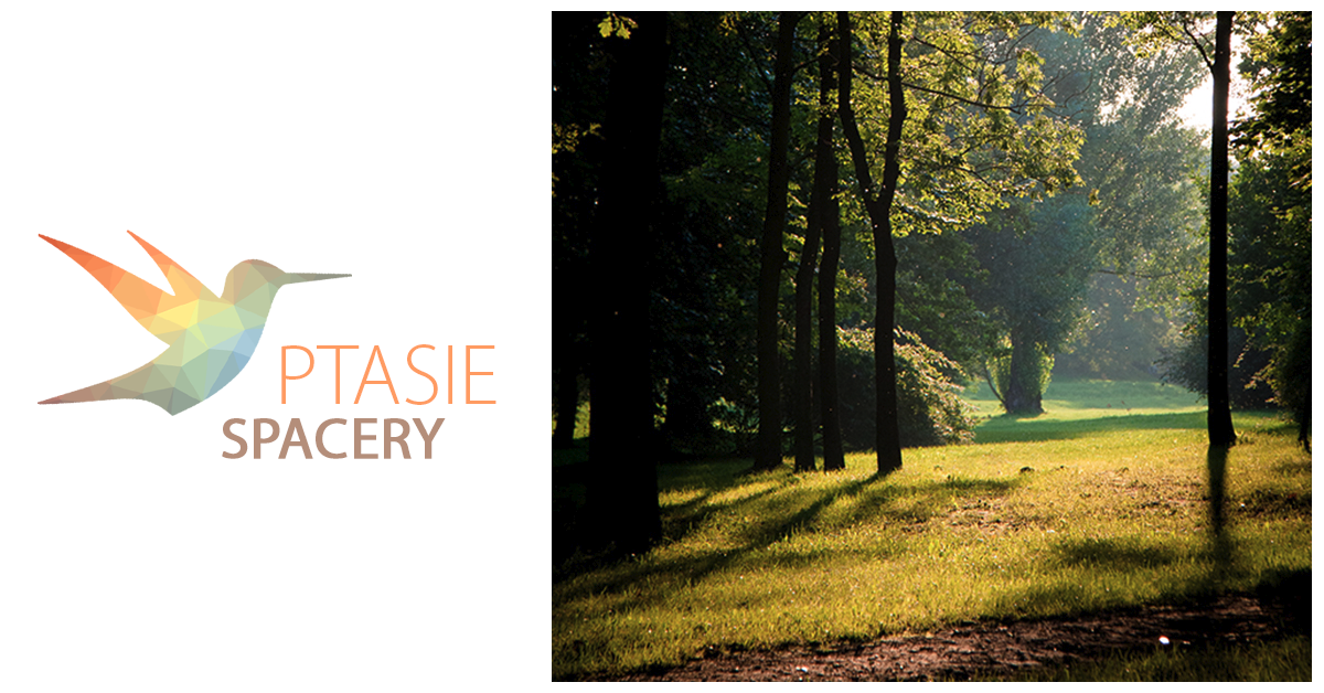 Na grafice z jej lewej strony, znak ptasich spacerów - kolorowe ilustracje z kształtów geometrycznych składające się na wizerunek ptaka. Poniżej podpis Ptasie spacery. Po prawej stronie zdjęcie zieloni parku SDK. Trawa, drzewa oraz promienie słońca przedzierające się między gałęziami.