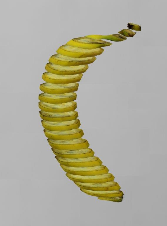 Zdjęcie przedstawia mocno spreparowaną fotografię banana, którego skórka zawija się w spiralę. Tło szare