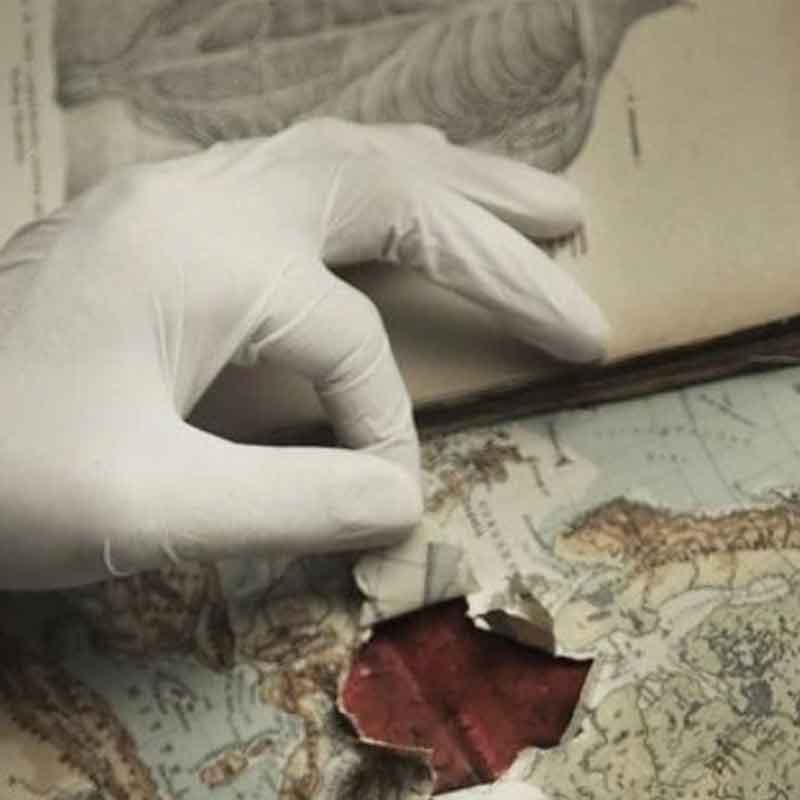 Dłoń w chirurgicznej rękawiczce rozchylająca części rozerwanej mapy. Fragment okładki książki "Dzieci Louisa"