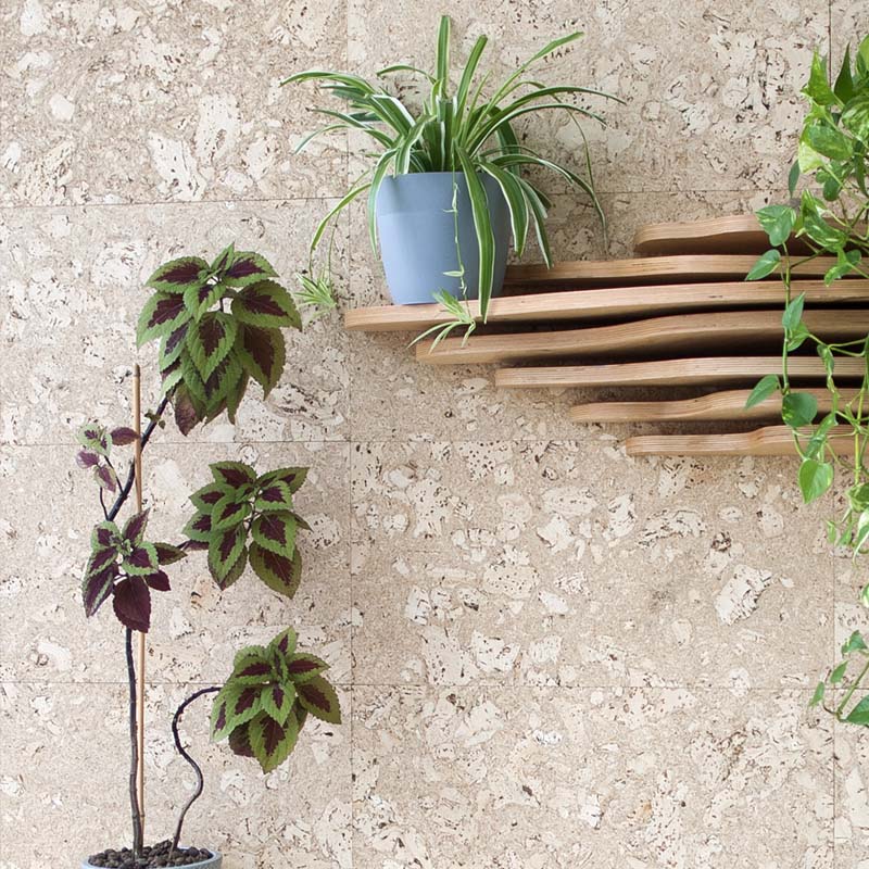 Doniczkowe kwiaty we wnętrzu saloniku literackiego w SDK. Foto: Dominika Dzieniszewska