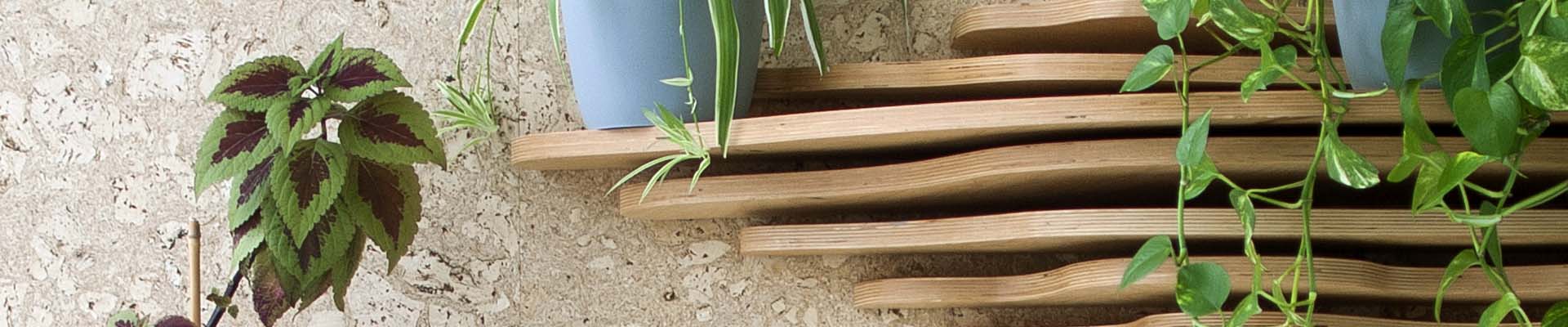 Doniczkowe kwiaty we wnętrzu saloniku literackiego w SDK. Foto: Dominika Dzieniszewska