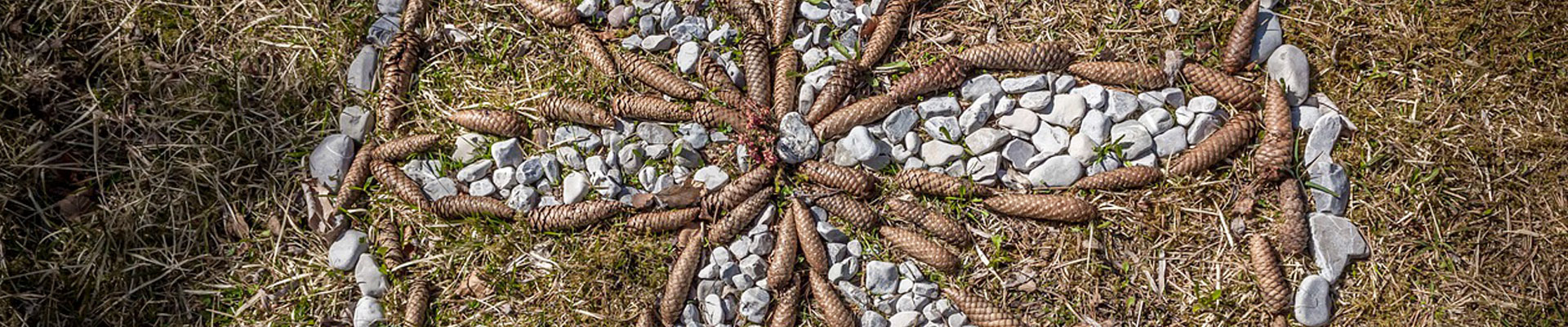 Na zdjęciu wzór w okręgu ułożony z szyszek i kamieni. Foto: Za pixaby/domena publiczna