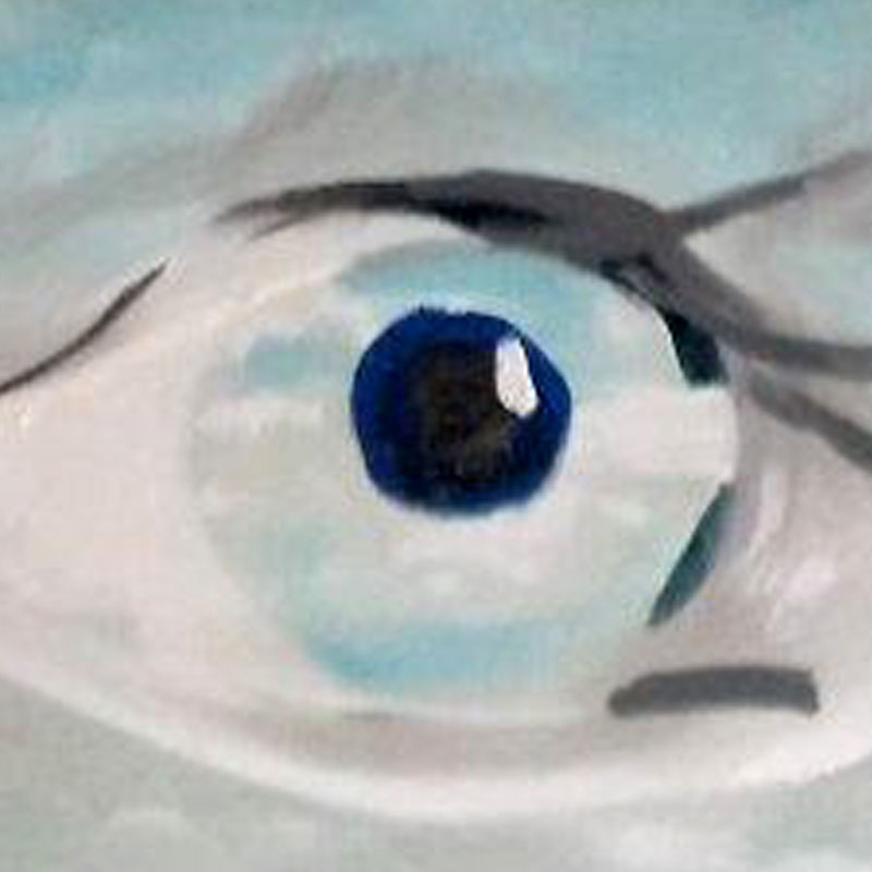 Obraz ludzkiego oka.