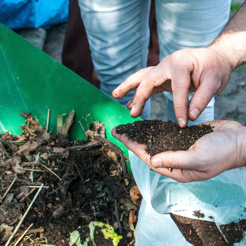 Na zdjęciu dłoń z kompostem. Fot. Dominika Dzieniszewska