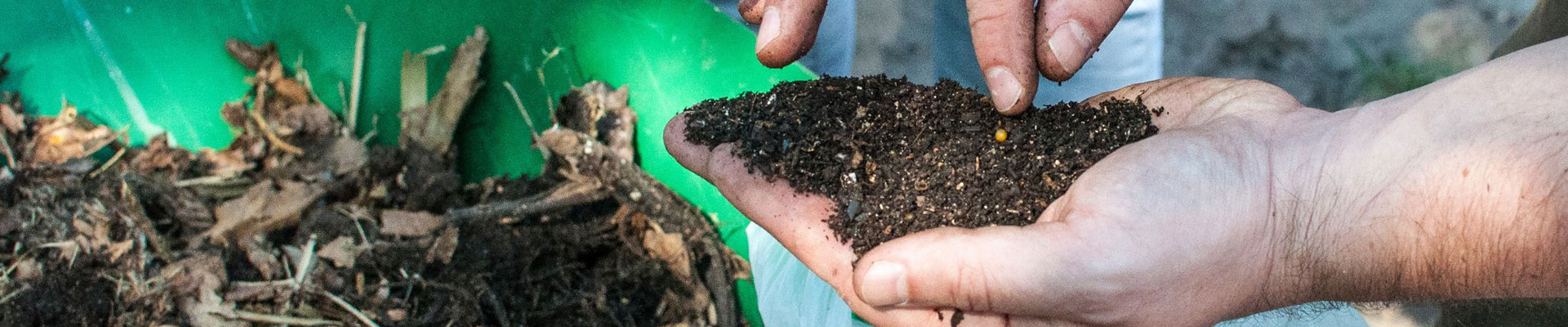 Na zdjęciu dłoń z kompostem. Fot. Dominika Dzieniszewska