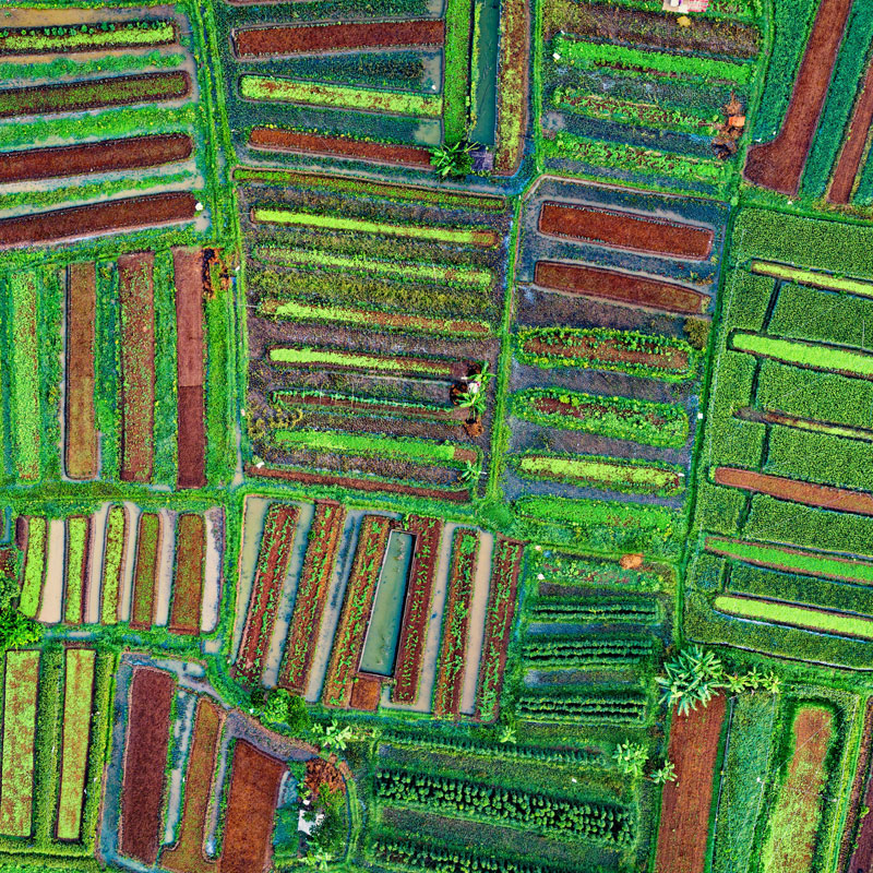 Zdjęcie z lotu ptaka pól uprawnych. Fot. Tom Fisk z Pexels / domena publiczna