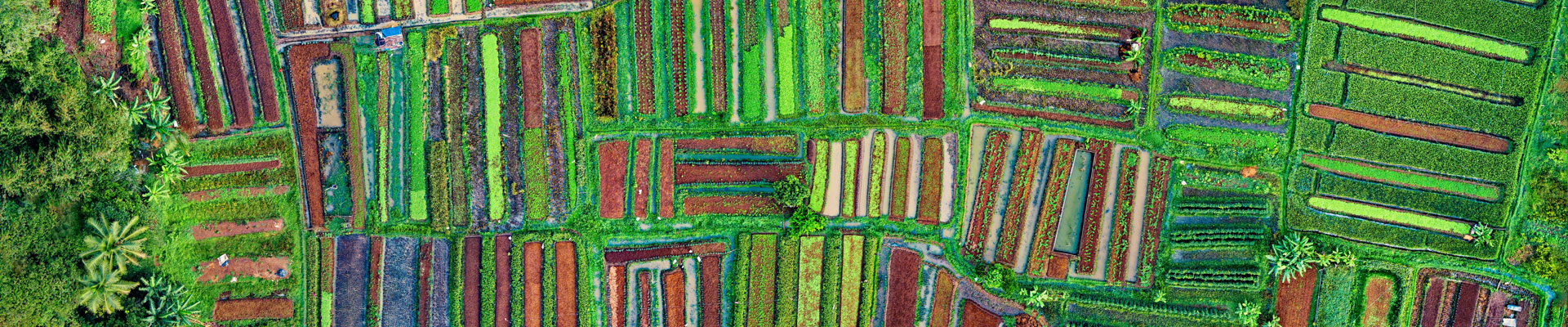 Zdjęcie z lotu ptaka pól uprawnych. Fot. Tom Fisk z Pexels / domena publiczna