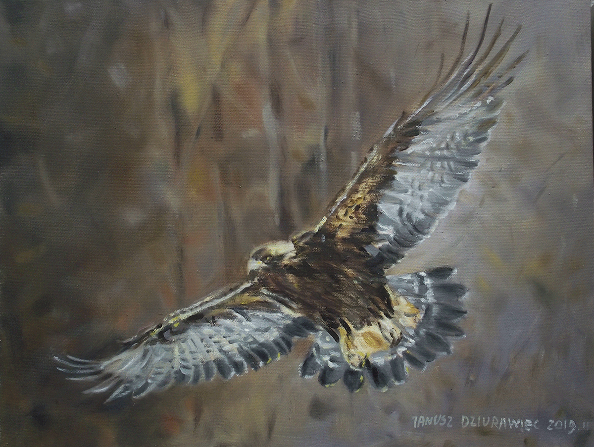 Zdjęcie obrazu artysty. Na obrazie znajduje się ptak, najprawdopodobniej orzeł. Ptak został uchwycony w locie. Na obrazie przeważają brązowe kolory..